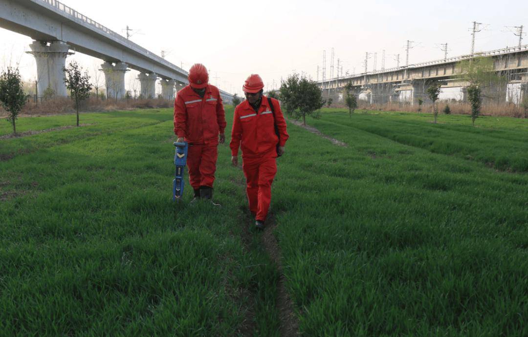 25·数字温度开元棋牌20(图4)